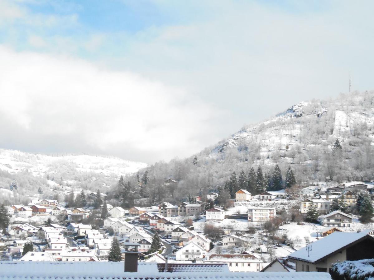 Ferienwohnung Hameau Des Chaumes Vue Panoramique La Bresse Exterior foto