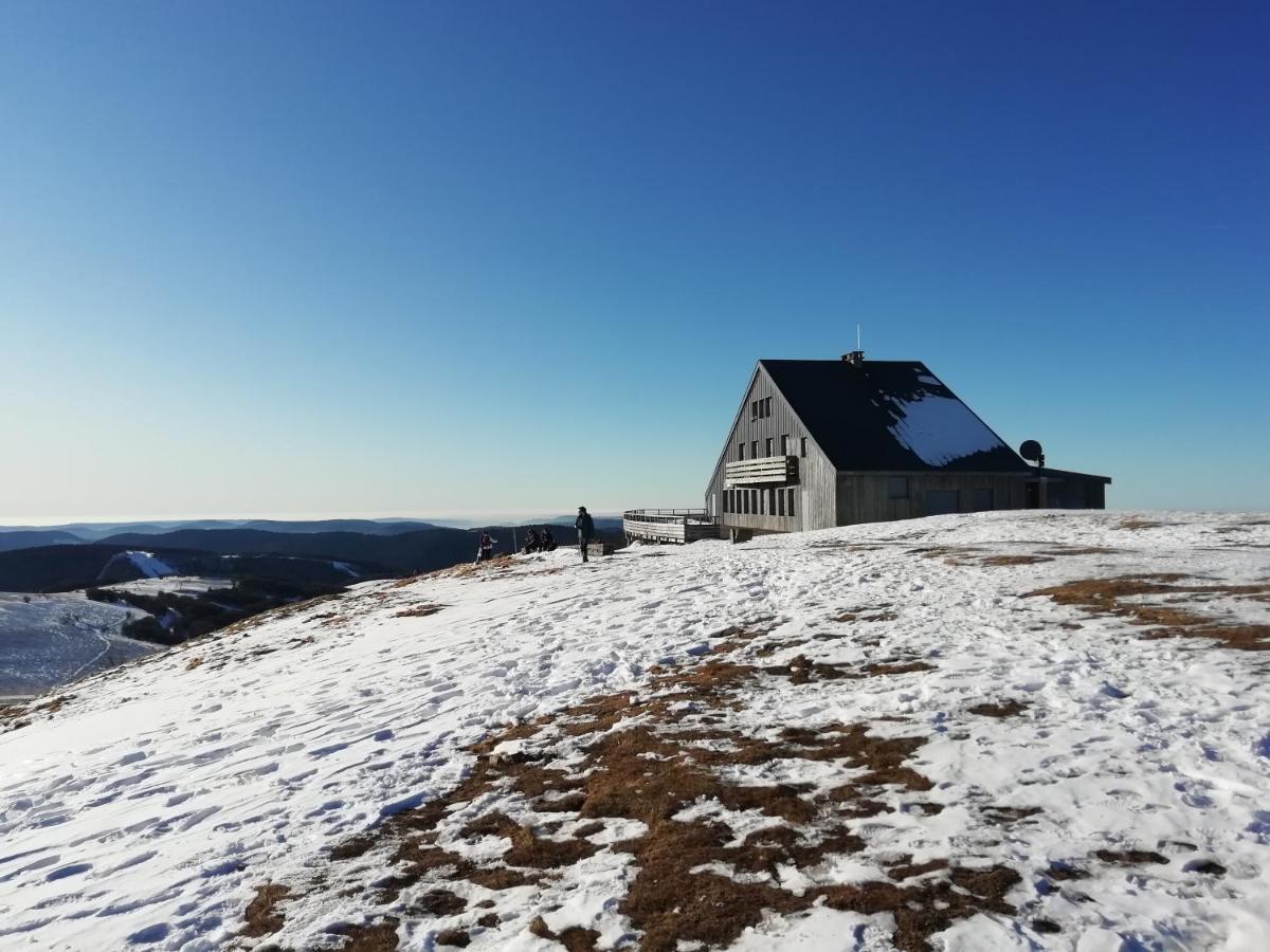 Ferienwohnung Hameau Des Chaumes Vue Panoramique La Bresse Exterior foto